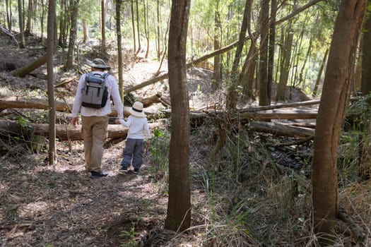 Father and son enjoying a peaceful hike through a sun-dappled forest path, surrounded by lush trees and fallen logs