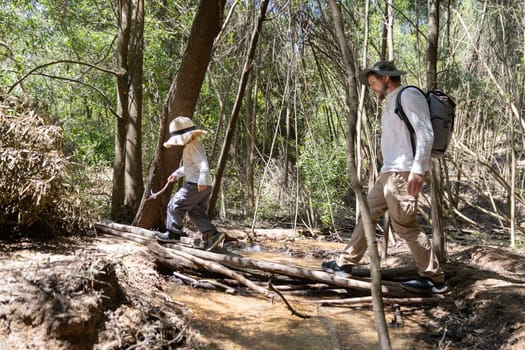 Father and son enjoying a hike through the woods, carefully crossing a small creek on a makeshift bridge