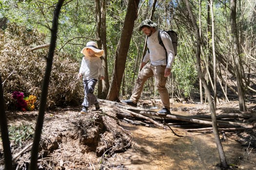 Hikers crossing a creek on a makeshift bridge made of branches in a sunny forest