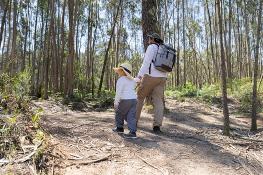 Father and son enjoying a leisurely hike through a sun-dappled forest trail