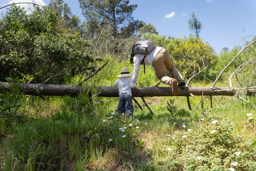 Father helping his son climbing over a fallen tree trunk while hiking in a forest