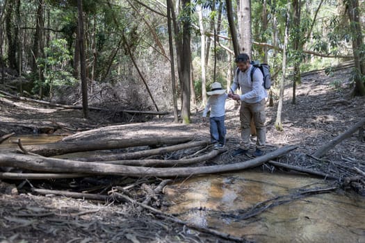 Father helping his son cross a creek walking carefully across fallen tree branches in a forest