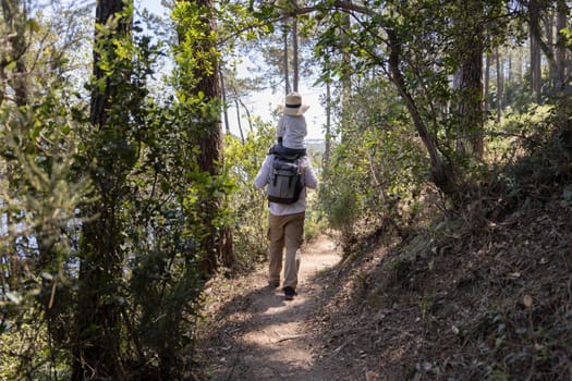 Father carrying his child on his shoulders while hiking on a sunny forest trail