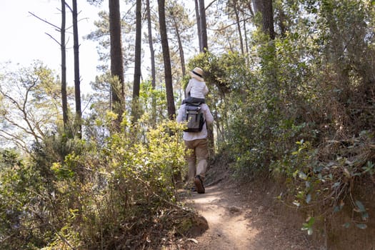 Father and child enjoying a hike through a sunny forest path