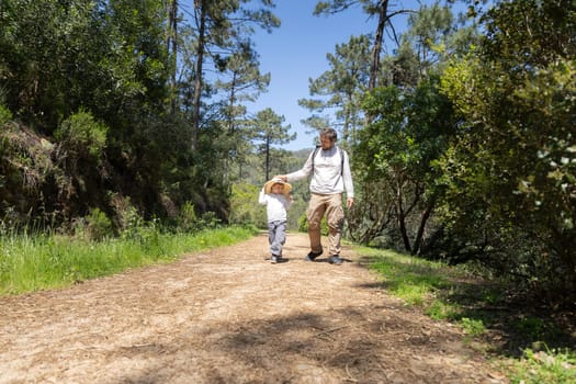 Father and son enjoying a leisurely walk on a sunny forest path, surrounded by lush greenery