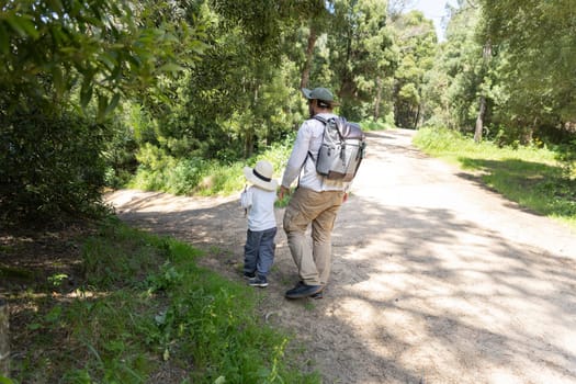 Father and son enjoying a walk in nature, exploring a forest path on a sunny summer day