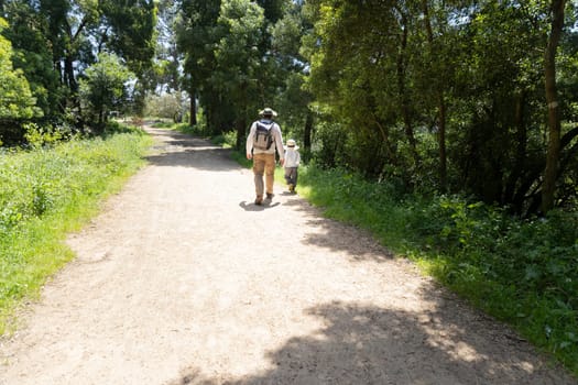 Father and son enjoying a leisurely hike through nature on a beautiful summer day