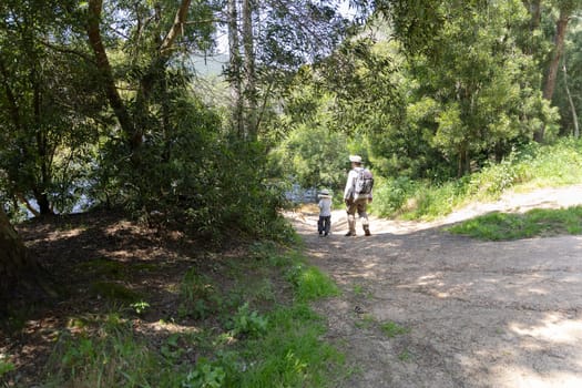 Hikers enjoying a leisurely walk through a sun-dappled forest path alongside a river