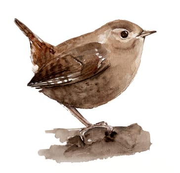 Eurasian Wren Watercolor Captures The Delicate Beauty Of This Small Bird In Vibrant Hues
