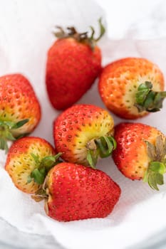Freshly washed and dried strawberries are carefully arranged in a glass bowl lined with paper towel, ready for snacking or further use.
