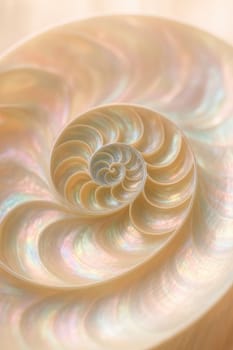 Tilt-Shift Macro of Iridescent Mother-of-Pearl Seashell Interior in Soft Pastels