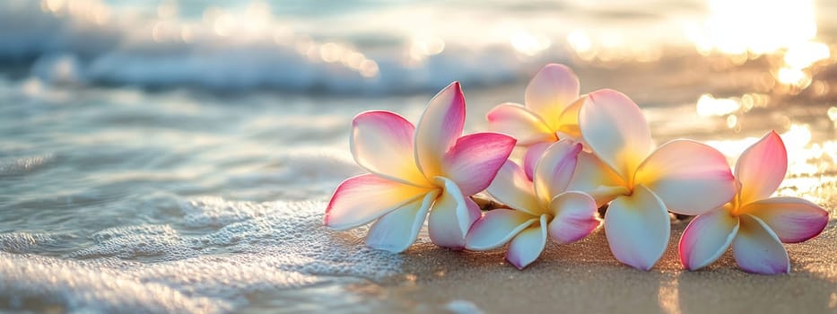 Plumeria flowers on the beach on the sand. selective focus. Generative AI, nature