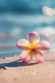Plumeria flowers on the beach on the sand. selective focus. Generative AI, nature