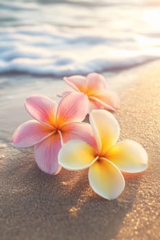 Plumeria flowers on the beach on the sand. selective focus. Generative AI, nature