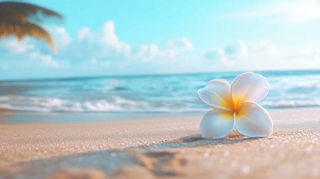 Plumeria flowers on the beach on the sand. selective focus. Generative AI, nature