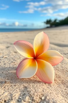 Plumeria flowers on the beach on the sand. selective focus. Generative AI, nature
