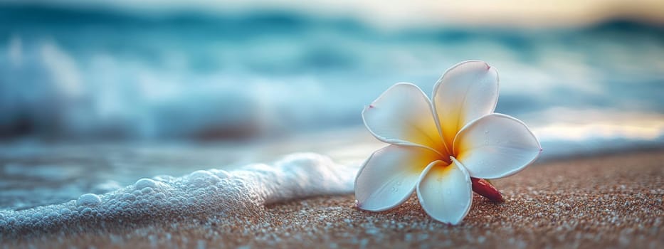 Plumeria flowers on the beach on the sand. selective focus. Generative AI, nature