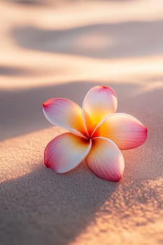 Plumeria flowers on the beach on the sand. selective focus. Generative AI, nature