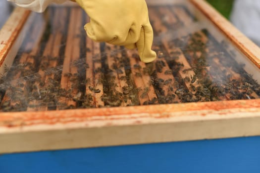 A beehive with bees. Close up