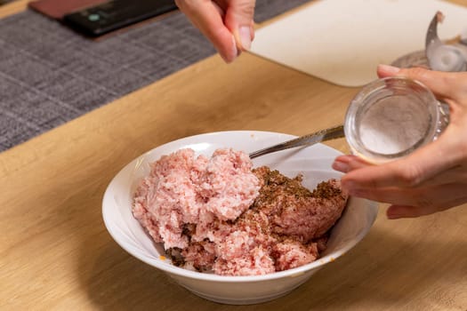Just ground meat mince in the glass bawl of the electrical chopper on the kitchen counter top being seasoned and mixed. Cooking