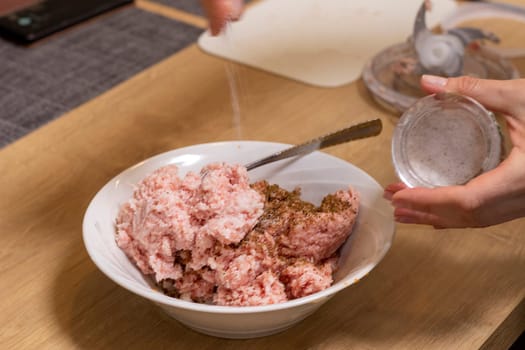 Just ground meat mince in the glass bawl of the electrical chopper on the kitchen counter top being seasoned and mixed. Cooking
