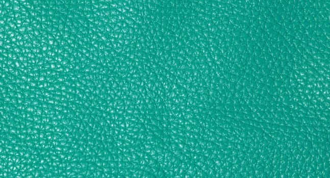 A close up full frame view of a vibrant teal colored leather texture, showcasing its natural grain