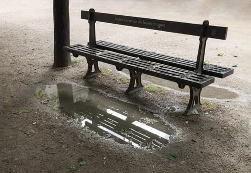 France, Paris - May 03, 2025 - One empty bench made of black iron at the Palais Royal Garden (Jardin du Palais Royal), Benches garden beneath the shade of the trees with reflection in a puddle after rain. use it as your Wallpaper, Poster and Space for text, Selective focus.