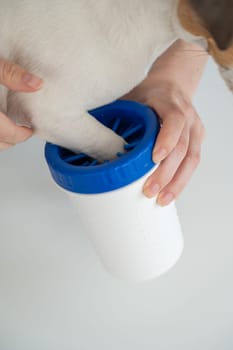 The owner washes the dog's paws in a special device