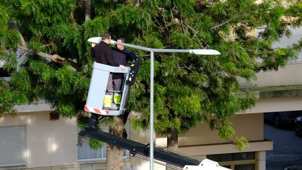 Two unrecognizable utility workers operate hydraulic lift to repair street light in residential area with lush greenery on clear sunny day. Elevated platform safely reaching lamp post, essential urban maintenance, checks and public safety work.