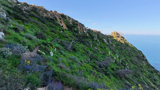 Embark on an adventure to explore the vibrant landscape along a coastal trail with its breathtaking ocean views