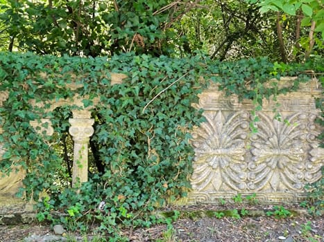 Stone ivy pattern wall architecture street building green nature summer autumn background landscape . High quality photo
