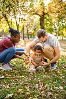 A joyful family moment unfolds as parents kneel beside their curious toddler in a park. Bright autumn leaves provide a colorful backdrop, highlighting love and togetherness.
