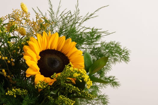 Close-up of a sunflower with lush green foliage on a light-colored background. Place for text.