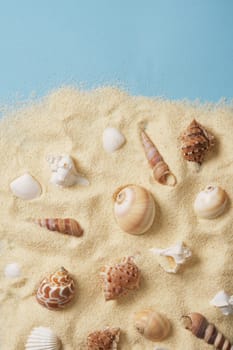Banner with white and brown shells rests on fine golden sand on a blue background. Place for your text.