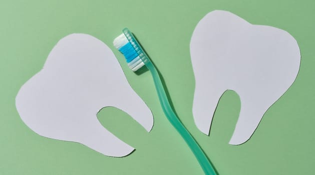 A green toothbrush is placed between two white paper cutouts of teeth on a light green background, symbolizing dental care and oral hygiene