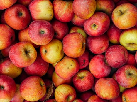 lots of ripe berries apple for food as background