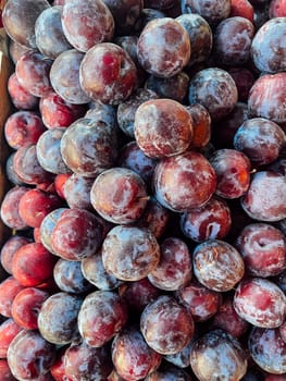 lots of ripe plum berry fruit for food as background