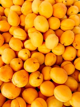 lots of ripe apricot berry fruits for food as background
