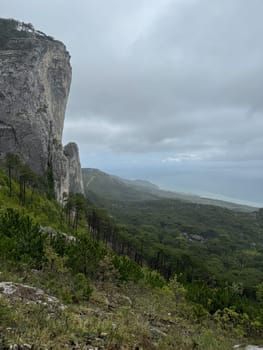 Beautiful mountain scenery and green forest from the top of the cliff