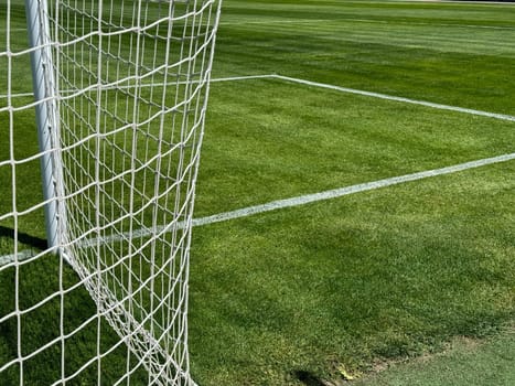 Football goal net and green grass in the stadium
