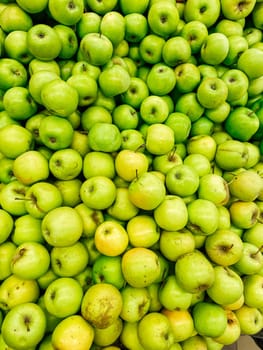 lots of ripe apples fruit for cooking as background
