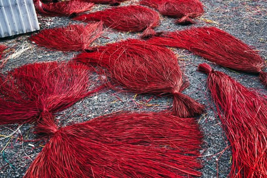 Dyed red straw are dried at village handicraft factory for the production of traditional Vietnamese mats in Vietnam