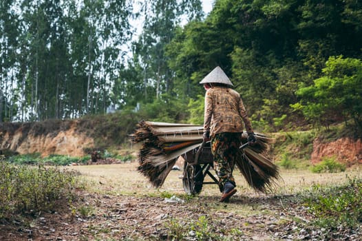Vietnamese woman in traditional straw hat carries woven mats made of dyed reeds on cart at rug factory in village in Vietnam
