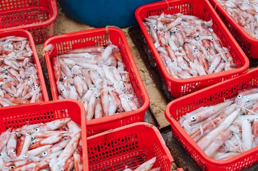 catch of fresh squid in containers at the Vietnamese seafood market in Vietnam in Asia