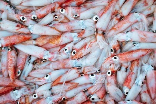 catch of fresh squid on display at a seafood market. Background with fresh squid