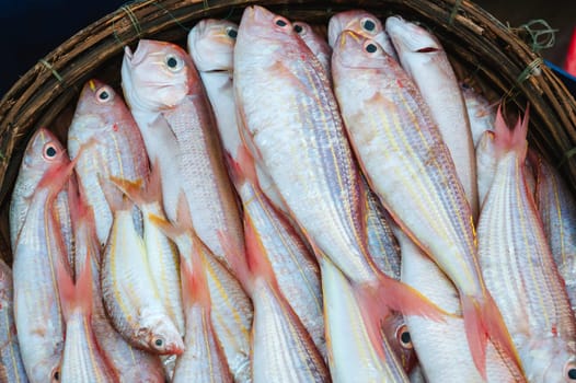catch of fresh sea fish Threadfin Bream in a basket on fishing vessel