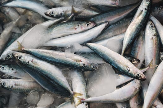 catch of fresh sea fish in ice in a container at the seafood market in Asia