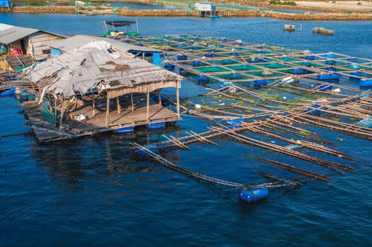 fish farming farm with fishing cages and nets on water in the sea bay in Vietnam in Asia