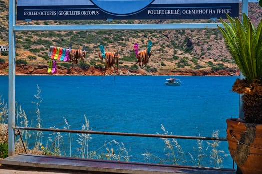Traditional sun-dried octopuses clipped to rope with selective focus and typical Greek hills and fishermen's boat in background, calm sea, clear sunny summer day. Crete, Greece