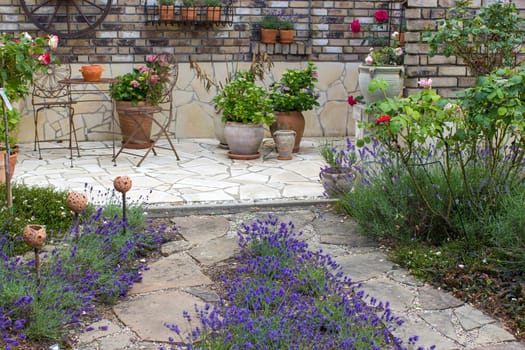 beautiful place in the garden in the mediterranean style - roses and lavender flowers